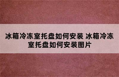 冰箱冷冻室托盘如何安装 冰箱冷冻室托盘如何安装图片